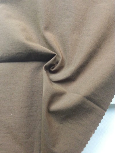 GZ- LEEN  N49% C45% SP6% L58453 正面照